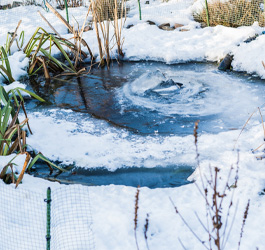 Jetzt an den Winter denken Wohlbefinden für Teich und Bewohner