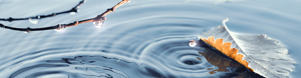 Teich für den Winter vorbereiten. Teichpflege Tipps Die Experten der